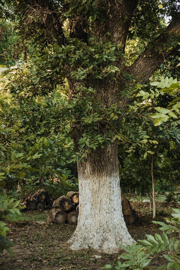 パラス・デ・ラ・フエンテCasa Campestre Las Ruedasアパートメント エクステリア 写真