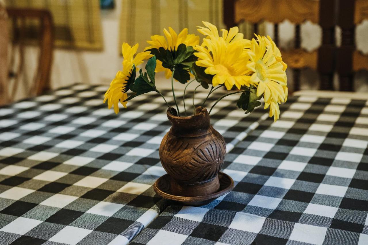 パラス・デ・ラ・フエンテCasa Campestre Las Ruedasアパートメント エクステリア 写真